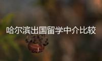 哈爾濱出國留學中介比較好的是哪個？ 哈爾濱留學機構有幾家