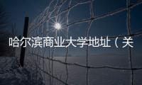 哈爾濱商業(yè)大學(xué)地址（關(guān)于哈爾濱商業(yè)大學(xué)地址的基本情況說明介紹）
