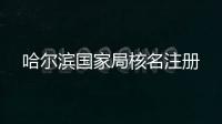 哈爾濱國家局核名注冊