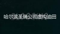 哈爾濱圣瑞公司虛構(gòu)油田投資集資詐騙45億元