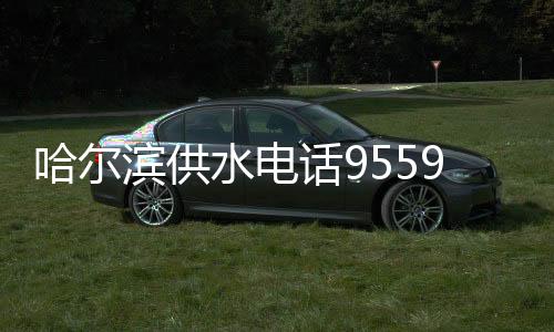 哈爾濱供水電話95598（供水電話95598）