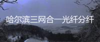 哈爾濱三網(wǎng)合一光纖分纖箱 廠家