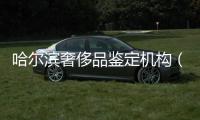 哈爾濱奢侈品鑒定機構(gòu)（哈爾濱奢侈品鑒定機構(gòu)排名）