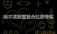 哈爾濱鋼塑復(fù)合拉筋帶規(guī)格齊全