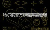 哈爾濱警方辟謠棄嬰遭碾致死：棄嬰系醫療垃圾