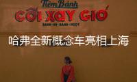哈弗全新概念車亮相上海車展 造型運(yùn)動(dòng)前衛(wèi)