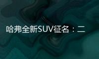 哈弗全新SUV征名：二狗/鐵狗/酷狗都來了