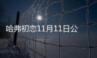 哈弗初戀11月11日公布內飾 將開啟預售