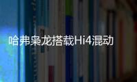 哈弗梟龍搭載Hi4混動四驅 未來將推EV版