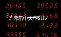 哈弗新中大型SUV