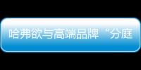 哈弗欲與高端品牌“分庭抗禮”
