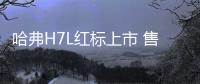哈弗H7L紅標上市 售17.00