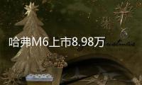哈弗M6上市8.98萬元 對(duì)比哈弗H6有何不同
