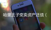 哈里王子變賣資產還債（囊中羞澀求助老爸）