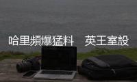 哈里頻爆猛料　英王室設「戰(zhàn)情室」應對