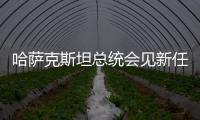 哈薩克斯坦總統會見新任駐華大使