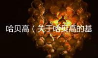 哈貝高（關(guān)于哈貝高的基本情況說明介紹）