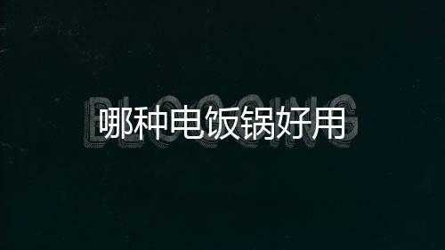 哪種電飯鍋好用
