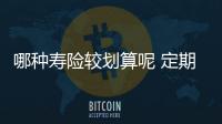哪種壽險較劃算呢 定期壽險怎么買才好