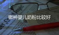 哪種嬰兒奶粉比較好