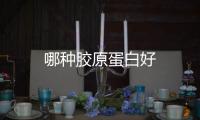 哪種膠原蛋白好