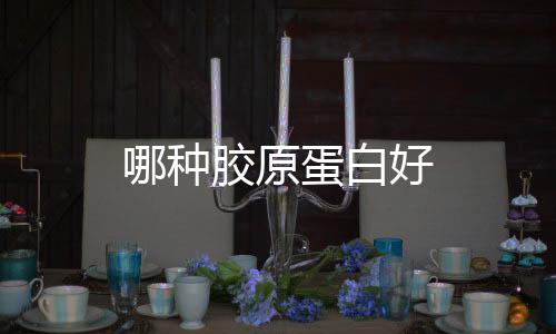 哪種膠原蛋白好