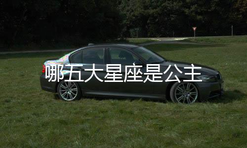 哪五大星座是公主