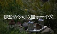 哪些命令可以顯示一個文件的具體內容？（vim下一頁）