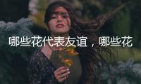 哪些花代表友誼，哪些花代表著愛情
