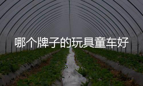 哪個(gè)牌子的玩具童車好