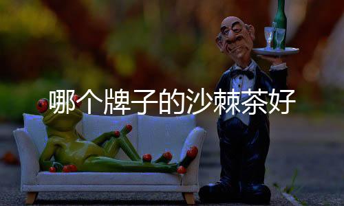 哪個牌子的沙棘茶好