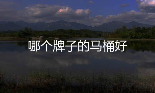 哪個(gè)牌子的馬桶好