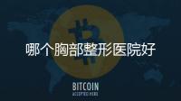 哪個胸部整形醫院好