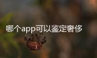 哪個app可以鑒定奢侈品真假（哪個平臺可以鑒定奢侈品）