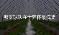 哪支球隊奪世界杯最低獎金？揭秘歷屆奪冠球隊獎金排行！