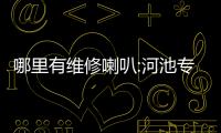 哪里有維修喇叭:河池專業(yè)修喇叭