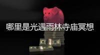 哪里是光遇雨林寺廟冥想地點(diǎn)攻略列表