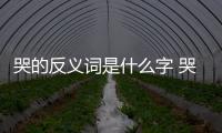 哭的反義詞是什么字 哭的反義詞是什么