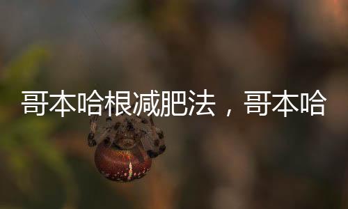 哥本哈根減肥法，哥本哈根減肥法中間吃了其他東西