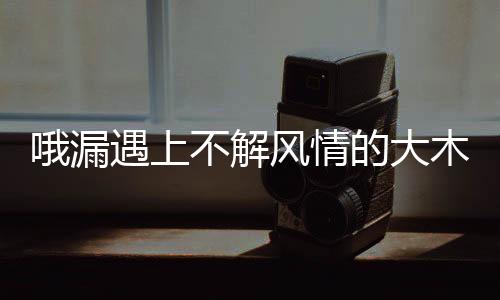 哦漏遇上不解風(fēng)情的大木頭摩羯男