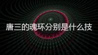 唐三的魂環分別是什么技能（唐三的魂環分別是什么）