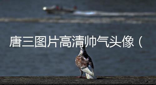 唐三圖片高清帥氣頭像（唐三圖片高清帥氣圖片）