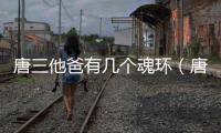 唐三他爸有幾個魂環(huán)（唐三的父親是幾魂環(huán)）