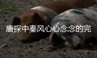 唐探中秦風(fēng)心心念念的完美 被誤殺的李維杰實(shí)現(xiàn)了