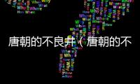 唐朝的不良井（唐朝的不良人）