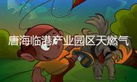 唐海臨港產(chǎn)業(yè)園區(qū)天燃?xì)夤こ滔略峦旯ぃ▓D）