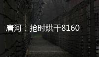 唐河：搶時烘干8160萬斤小麥