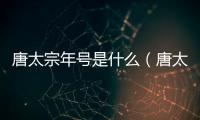 唐太宗年號是什么（唐太宗年號）