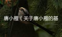 唐小雁（關于唐小雁的基本情況說明介紹）
