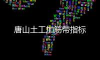 唐山土工加筋帶指標